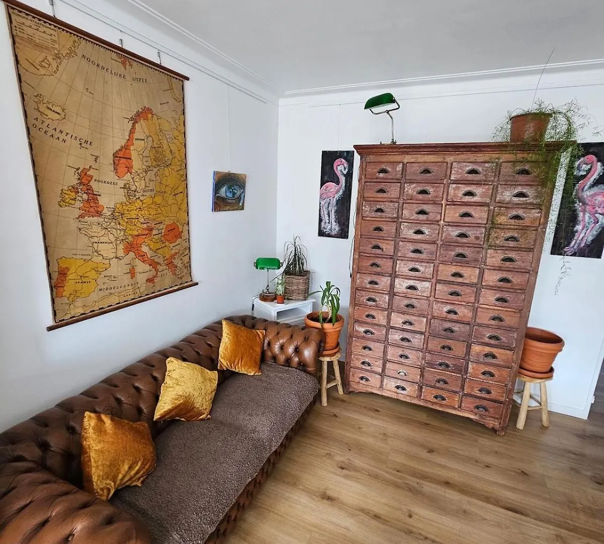 Studio El - Cozy Bright Flat In The Green Corner Of Antwerpia